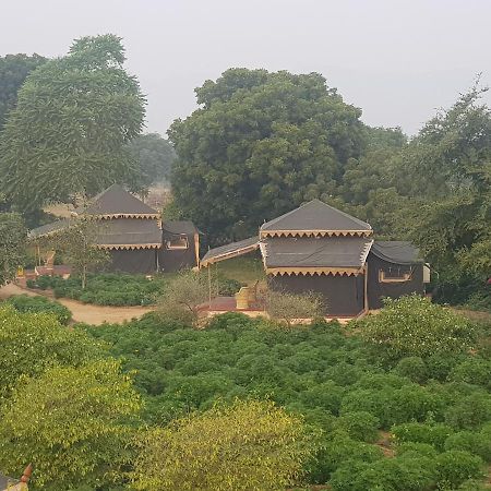 Orchard Tents & Tranquility Pushkar Exterior foto